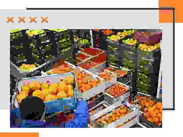 Перевозка скоропортящихся продуктов в октябрьском